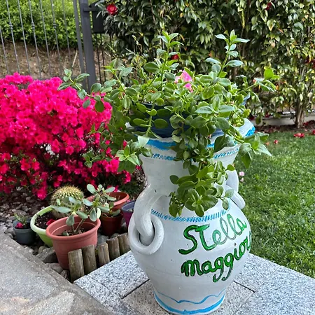 Stella Maggiore 3* ורבאניה