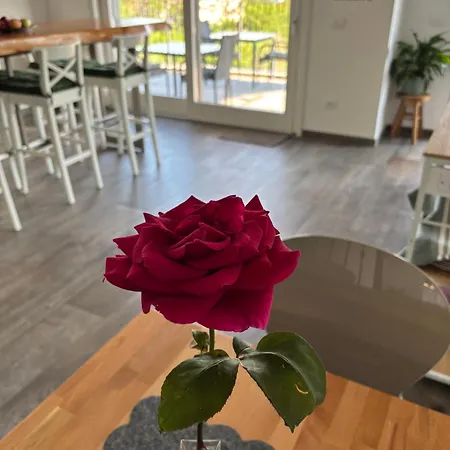 Stella Maggiore בית הארחה ורבאניה